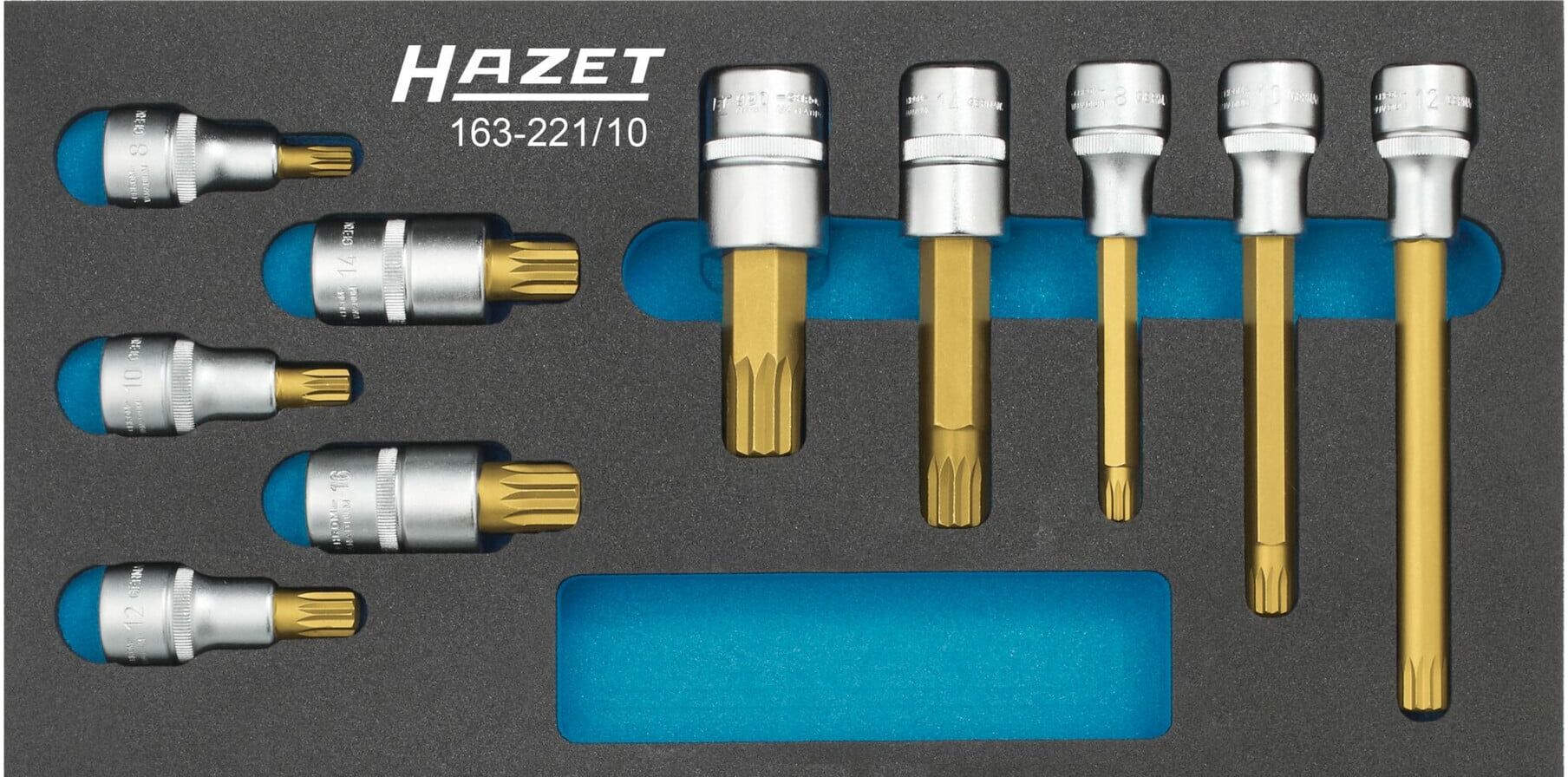 HAZET Schraubendreher-Steckschlüsseleinsatz-Satz 163-221/10 Anzahl Werkzeuge: 10)