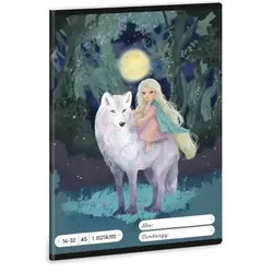 Northern Lights: Liniertes Heft – 1. Klasse, A5
