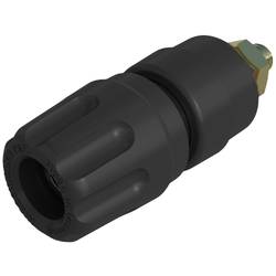 Hirschmann Test & Measurement PKI 10 A Au Polklemme Schwarz 35 A 1 St. Piece 930103700