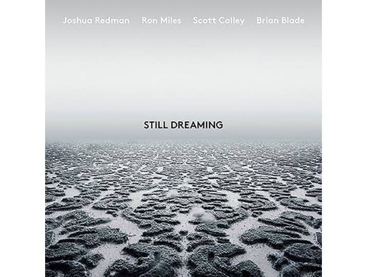 Still Dreaming (feat. Ron Miles, Scott Colley & Brian Blade)(Vinyl)