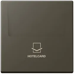 Jung Hotelcard-Schalter LC 590 CARD 241