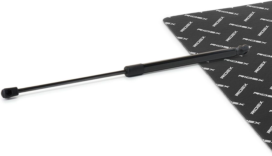RIDEX 219G1387 Tailgate strut
