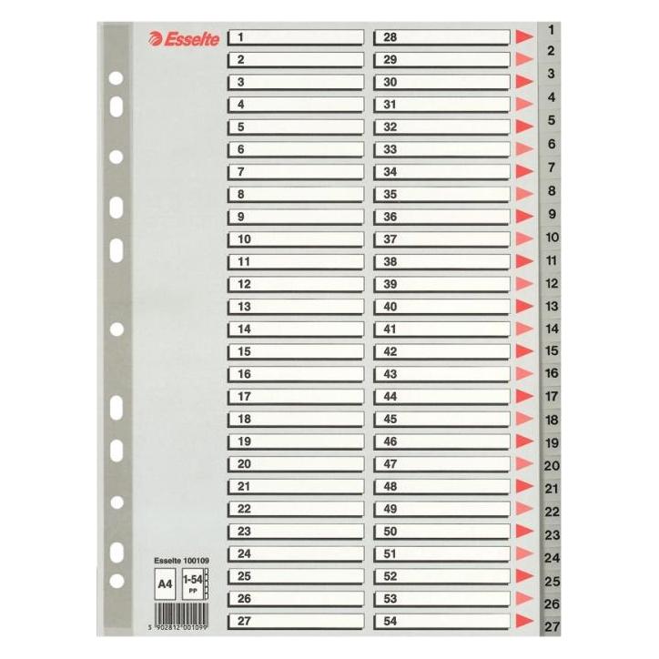 Esselte PPP A4 deckt grau 1-54 (10K154F) (100109)