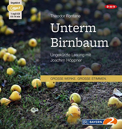 Theodor Fontane - Unterm Birnbaum: Ungekürzte Lesung (1 mp3-CD) - Preis vom 11.10.2026 03:10:56 h