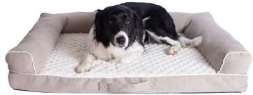 Bolstered Pet Bed Cushion With Memory Foam, Medium Ivory & Beige by Armarkat in Ivory