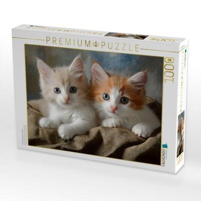 CALVENDO Puzzle Süsse Katzengeschwister | 1000 Teile Lege-Größe 64x48cm Foto-Puzzle für glückliche Stunden