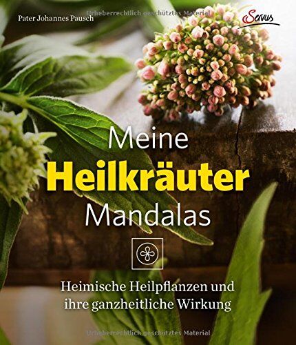 Johannes Pausch - Meine Heilkräutermandalas: Heimische Pflanzen und ihre ganzheitliche Wirkung - Preis vom 18.10.2026 19:22:15 h
