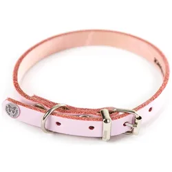 Martin Sellier Hundehalsband aus Leder (Hund, Allgemein, Spazieren), Halsband + Leine