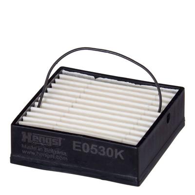 HENGST FILTER Kraftstofffilter MASSEY FERGUSON,FENDT E0530K F916200060010,250210000 Leitungsfilter,Spritfilter