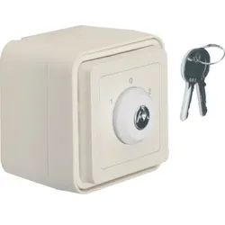 Hager Schlüssel-Schalter WNA037B