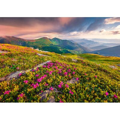 Fototapete PAPERMOON "BLUMEN-NATUR LANDSCHAFT BERGE GEBIRGE ALPEN LAVENDEL", bunt, B:4m L:2,6m, Vlies, Tapeten