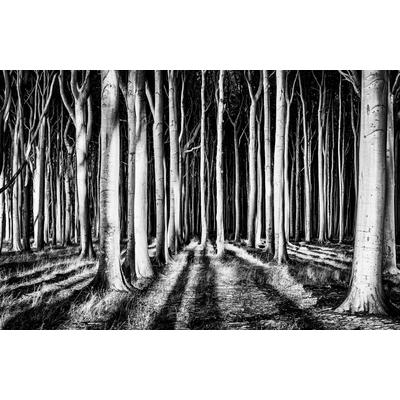 Fototapete PAPERMOON "Photo-Art PIXXELPARK, GEISTERWALD", bunt, B:5m L:2,8m, Vlies, Tapeten