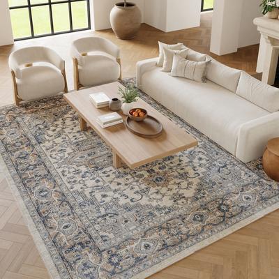 Nourison Concerto Classic Persian Medallion Area Rug.