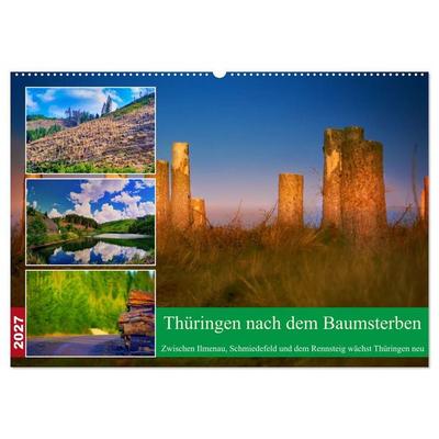 Thüringen nach dem Baumsterben (Wandkalender 2027 DIN A2 quer), CALVENDO Monatskalender