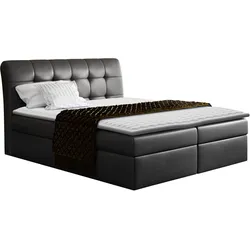BOXBETT Diego - H3