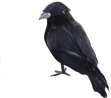 Inspire Essentials Realistic Black Crow Halloween Decor Set a