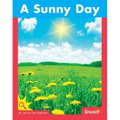 A Sunny Day, Taschenbuch von Jenna Lee Gleisner, Cliff House Sparks, 978-1-68320-003-1