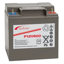 Exide Sprinter P12V600 12V 24Ah Blei-AGM Akku mit VdS