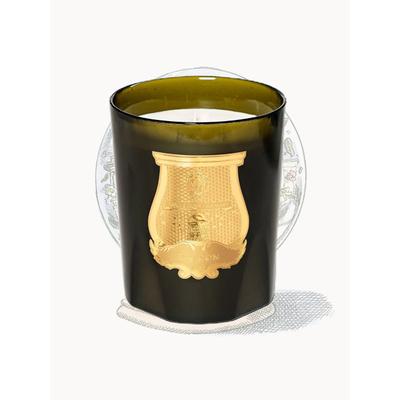Cyrnos 2.8kg Zitrus, fruchtig von Cire Trudon