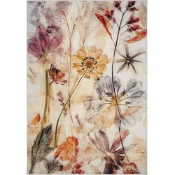 Peyer Syntex Teppich Modern Art Blumen bunt 120x170 cm