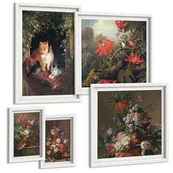 BILDER SET 5er Set - 50x50 cm & 20x30 cm & 40x60 cm Weißer Rahmen - Vintage-Blumen, Katzen, Pflanzen