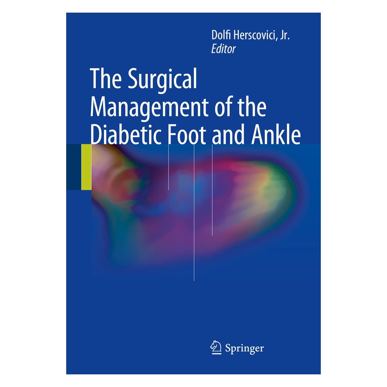 Springer The Diabetic and Charcot Foot and Ankle (Englisch, Hardcover, Dolfi Herscovici Jr.) (9783319276212)