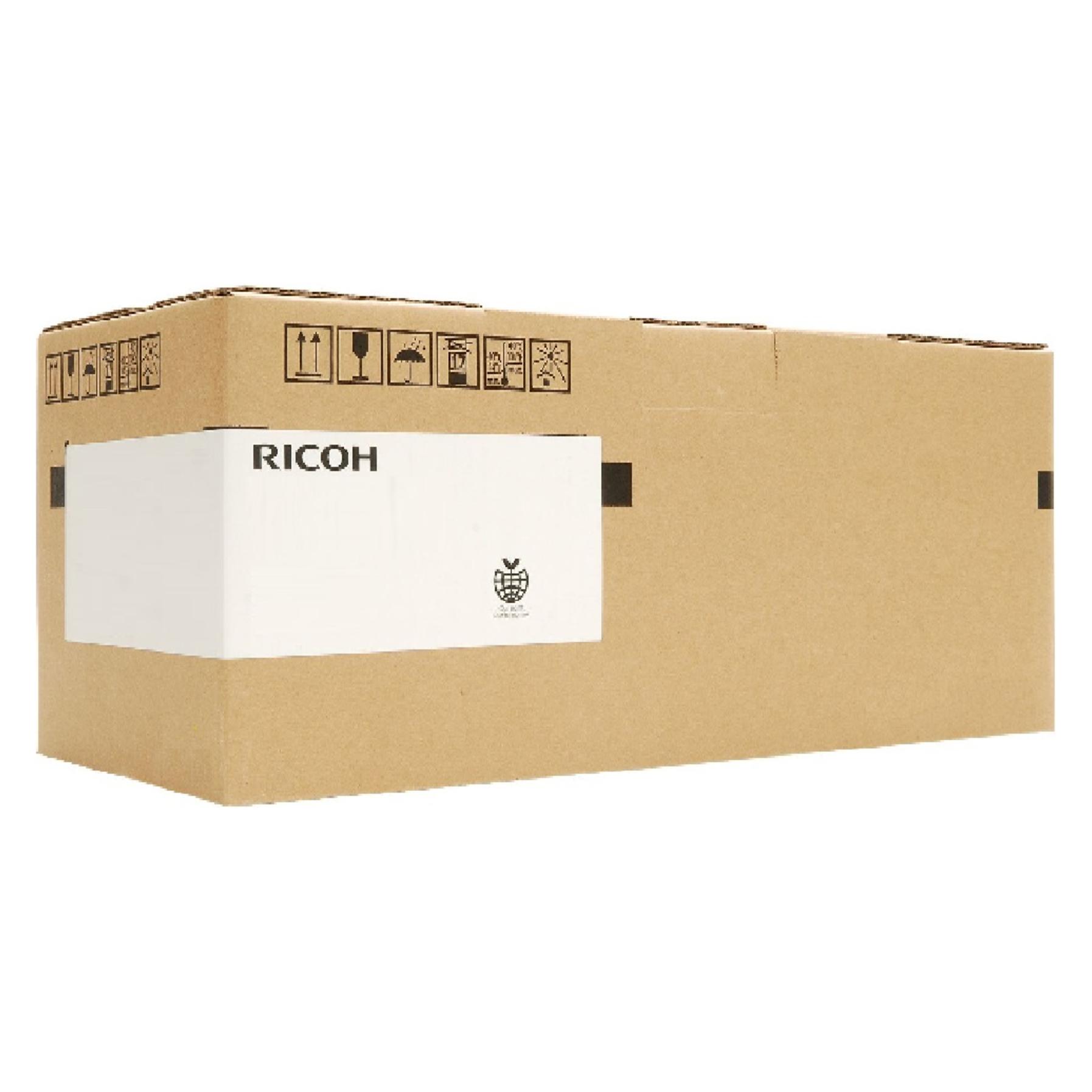 Ricoh Schwarz Entwickler (BK) (D1589640)