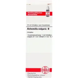 ALCHEMILLA VULGARIS Urtinktur 20 ml