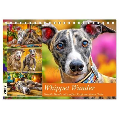 Whippet Wunder. Grazile Hunde mit sanfter Kraft und feiner Seele (Tischkalender 2027 DIN A5 quer), CALVENDO Monatskalender