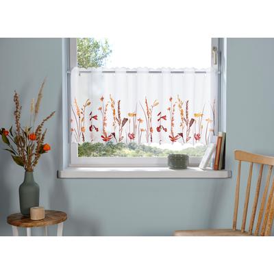 Scheibengardine OTTO HOME "Bille, 1 Stück, transparent, einseitige Stickerei, Blumen" Gr. 2, braun, B:120cm H:30cm, Voile, Polyester, Gardinen, transparent, mit einseitiger Stickerei, waschbar, Blumen