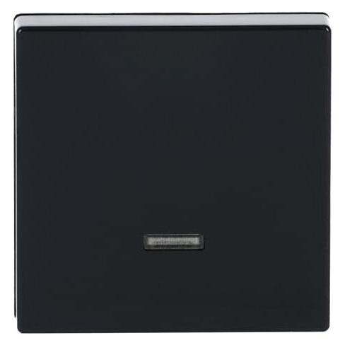 Busch-Jaeger Bedienelement (2CKA006599A2881)