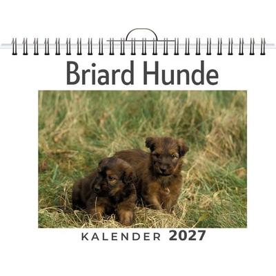 Briard Hunde