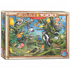 eurographics Puzzle - Gartenvögel von Joahn Francis - 1000 Teile 300943