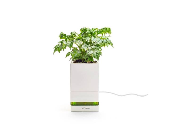 LeGrow LeGrow Quick Charging Pot 1-Pot / Type G (UK)