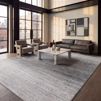 SAFAVIEH Adirondack Wilmy Ombre Distressed Rug