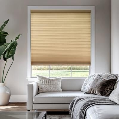 Chicology Cordless Light Filtering Cellular Shade