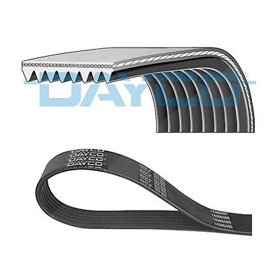Dayco Keilrippenriemen [Hersteller-Nr. 8PK1295] für Cadillac