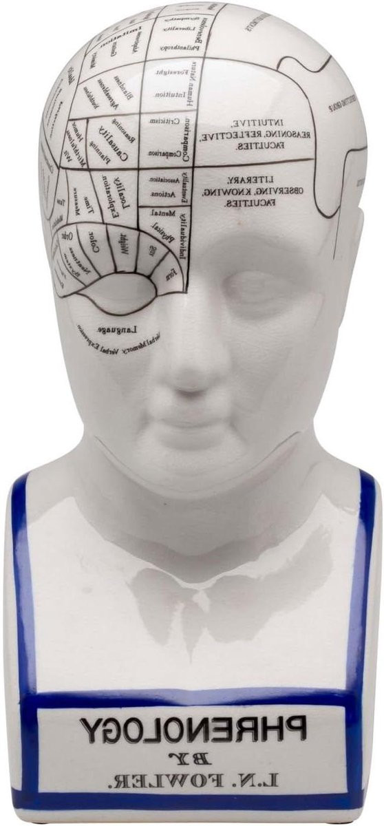 Anatomische Buste Frenologie Hoofd Decoratief Object in Antieke Stijl Wit, Hoogte: 30 cm
