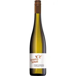 Chardonnay Qualitätswein Trocken Punktlandung Lorenz & Söhne 2024