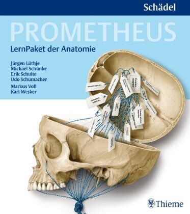 Jürgen Lüthje - Prometheus LernPaket der Anatomie: Schädel - Preis vom 09.10.2026 07:28:09 h