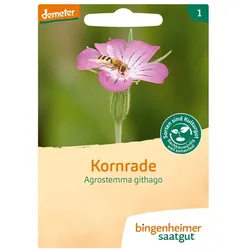 Kornrade - Blumen