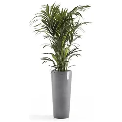 Ecopots, Blumentopf, Amsterdam hoch (32 x 70 cm)