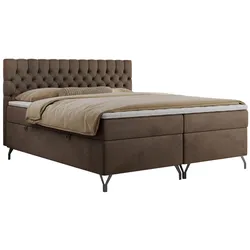 BOXBETT GRIMALDI 160/200 Braun Velvet - H3