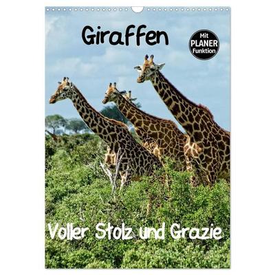 Giraffen. Voller Stolz und Grazie (Wandkalender 2027 DIN A3 hoch), CALVENDO Monatskalender