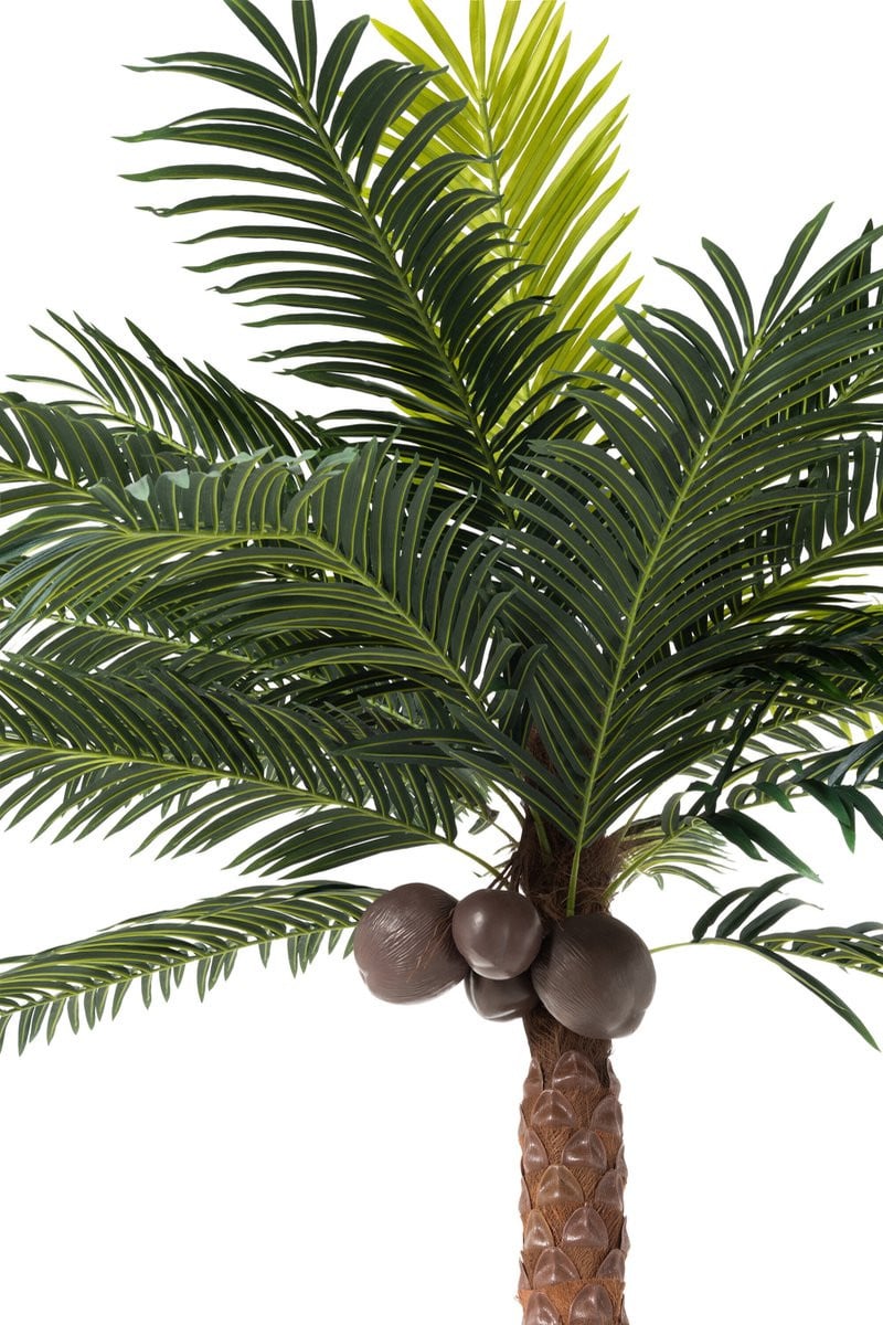 J-Line Kunstmatige palmboom met 4 kokosnoten in pot, groen