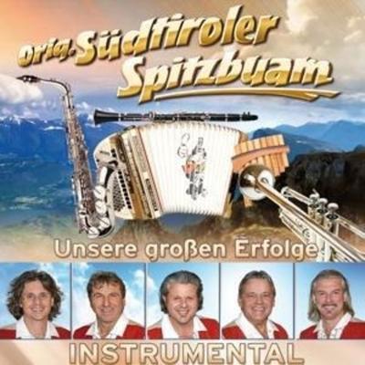 Unsere groáen Erfolge-Instrumental - Original Südtiroler Spitzbuam, CD