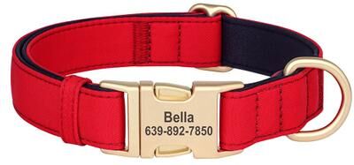 Inspire Essentials Personalized Waterproof Dog Collar With Soft Padding red m