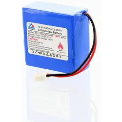 Monepass Wiederaufladbare Li-Ionen-Batterie