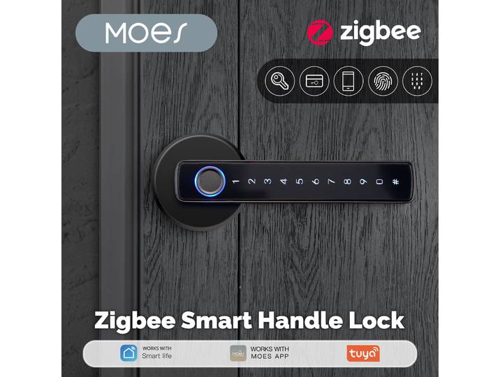 MOES Tuya ZigBee – Poignée de porte intelligente avec empreinte digitale, mot de passe, carte IC, entrée sans clé, interrupteur mural, nécessite Alexa Google Hub