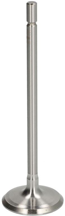 Einlassventil NE 147038001100